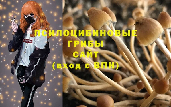 таблы Алексин