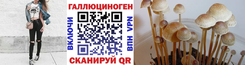 Галлюциногенные грибы Cubensis Димитровград